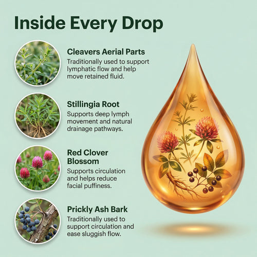 Lymphatic Drainage Liquid Extract