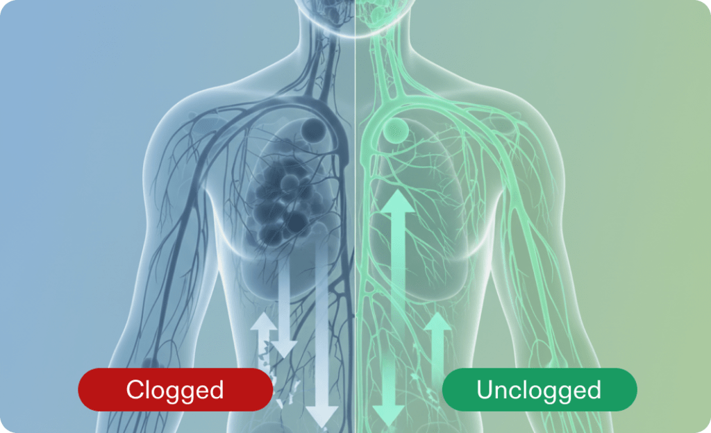 Lymphoria Lymphatic Drainage Drops