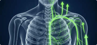 Lymphoria Lymphatic Drainage Drops