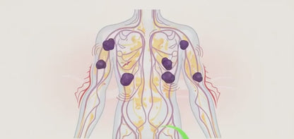 Lymphoria Lymphatic Drainage Drops